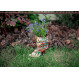 Flowerpot III