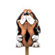 Chien de prise de jardin, basset
