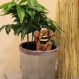 Humidificateur avec une abeille
