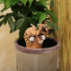 Humidificateur avec un chat