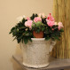 Humidificateur avec grenouille