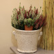 Humidificateur avec grenouille