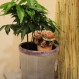 Humidificateur avec une tortue