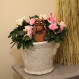 Humidificateur avec une chouette