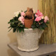 Humidificateur avec une chouette