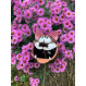 ▸ Cat as bird food station | Funny garden décoration gelée