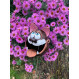 ▸ Cat as bird food station | Funny garden décoration gelée